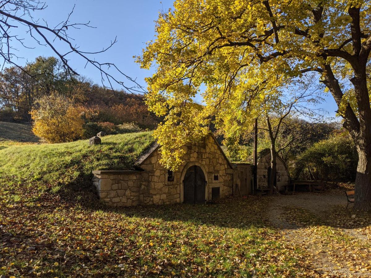 Bonito - Historischer Streckhof Villa Schützen am Gebirge Dış mekan fotoğraf